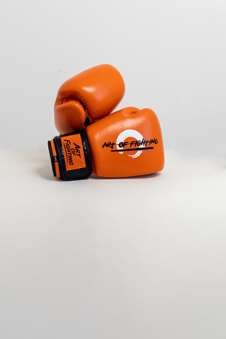 Art Of Fighting