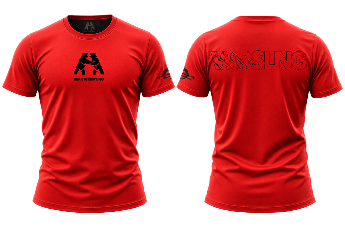 Bear Wrestling