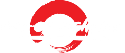 Art Of Fighting