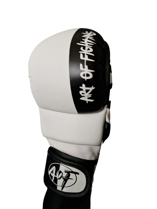 MMA Sparring Gloves W/B